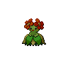 Dark Bellossom
